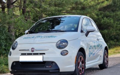 Fiat 500 Electric, 2015, 65000 km