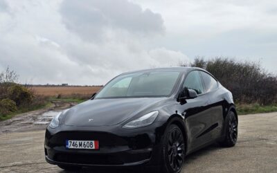 Tesla Model Y Performance, 2023 EU FSD, 42000 km