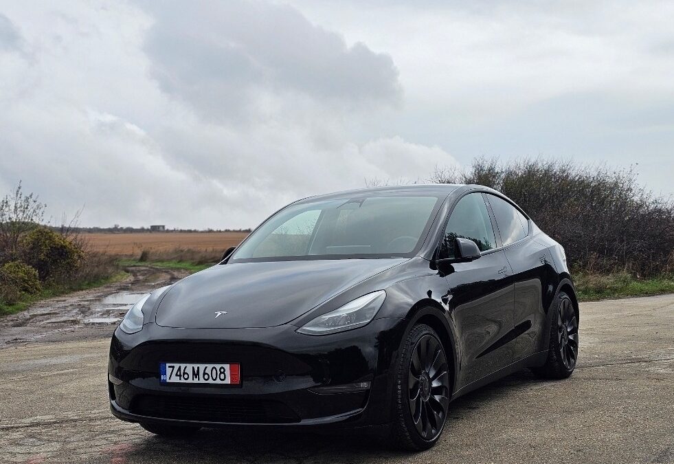 Tesla Model Y Performance, 2023 EU FSD, 42000 km